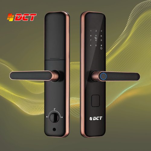 Khoá thông minh DCT DG101 màu viền đồng
